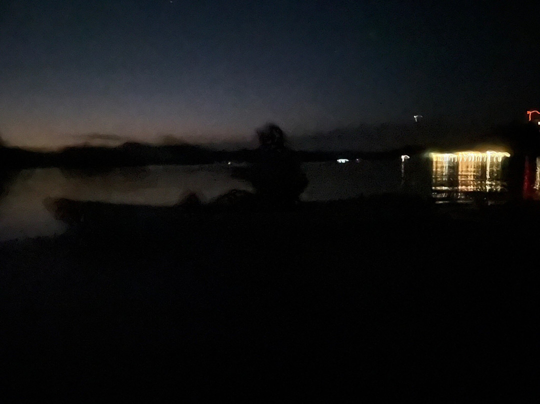 Eddy’s Bioluminescent Reserve景点图片