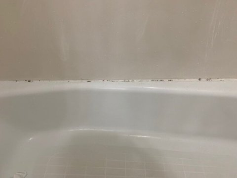 La Quinta Inn & Suites by Wyndham Fruita-浴室