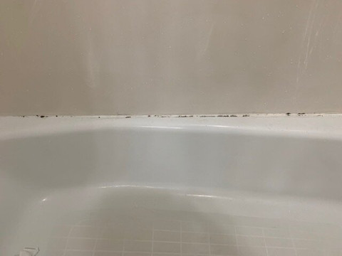 La Quinta Inn & Suites by Wyndham Fruita主图