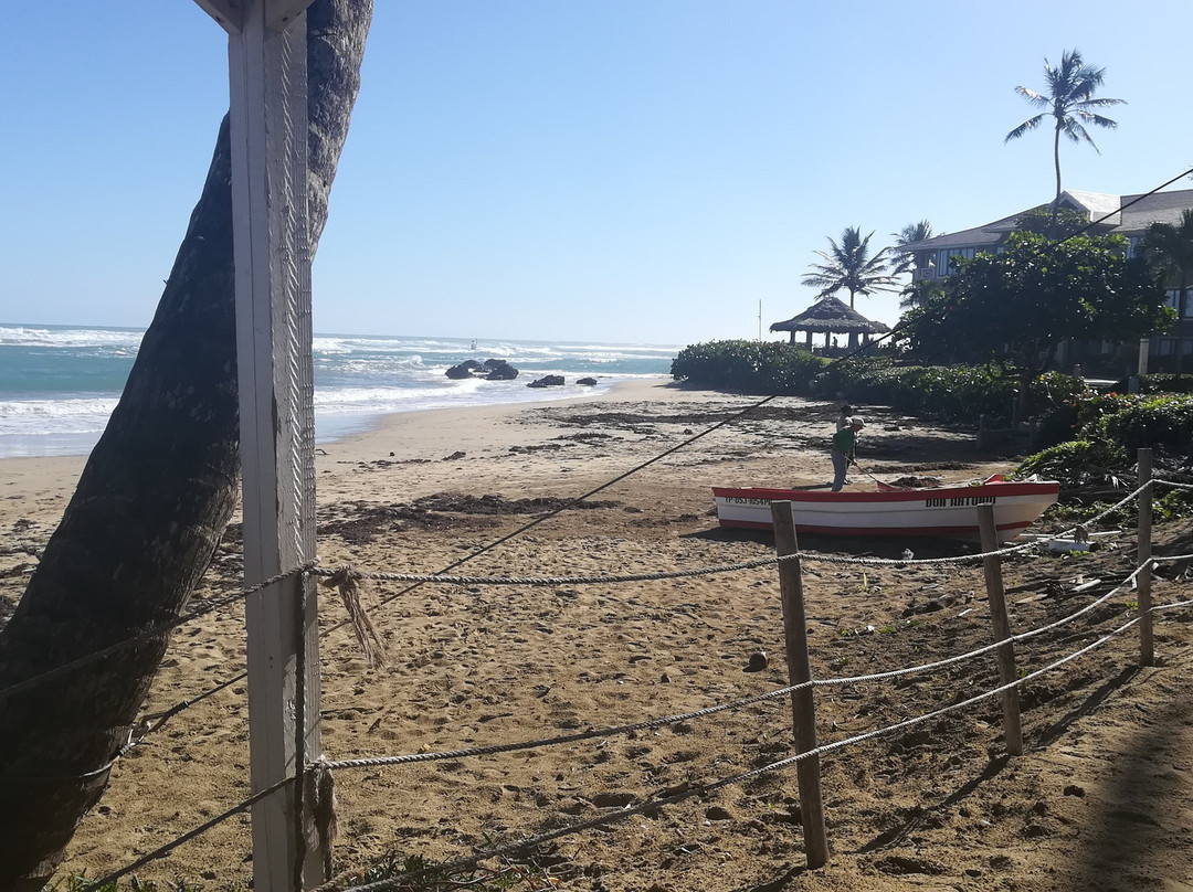 Kite Club Cabarete-喀巴里特必去景点