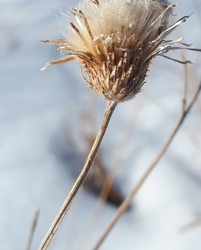 McBeth House-温尼伯必去景点