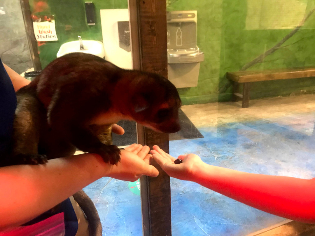 Layton Aquarium & Wildlife Encounters景点图片