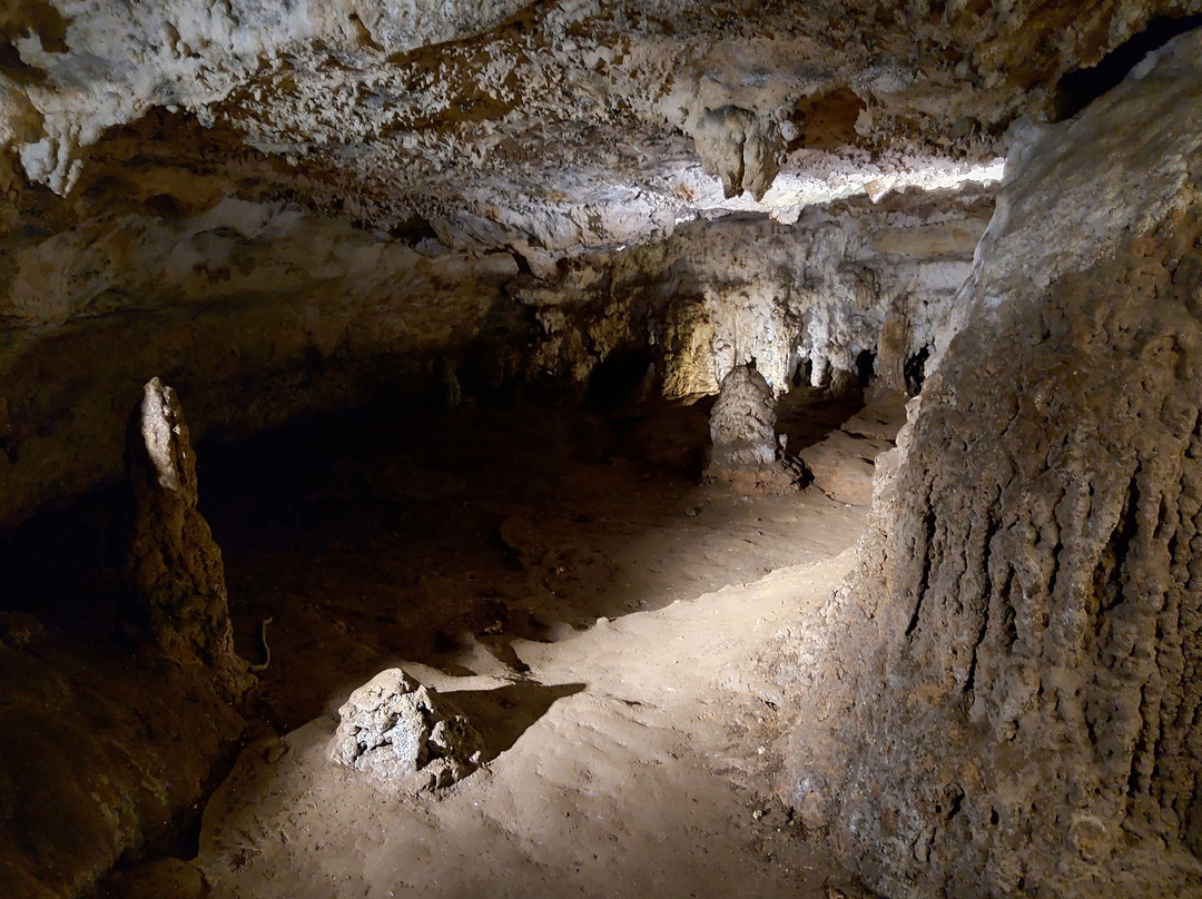 Stick Tomato Cave-Naracoorte必去景点