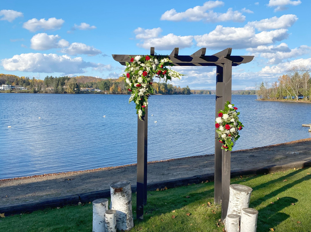 Bonnie View Inn主图