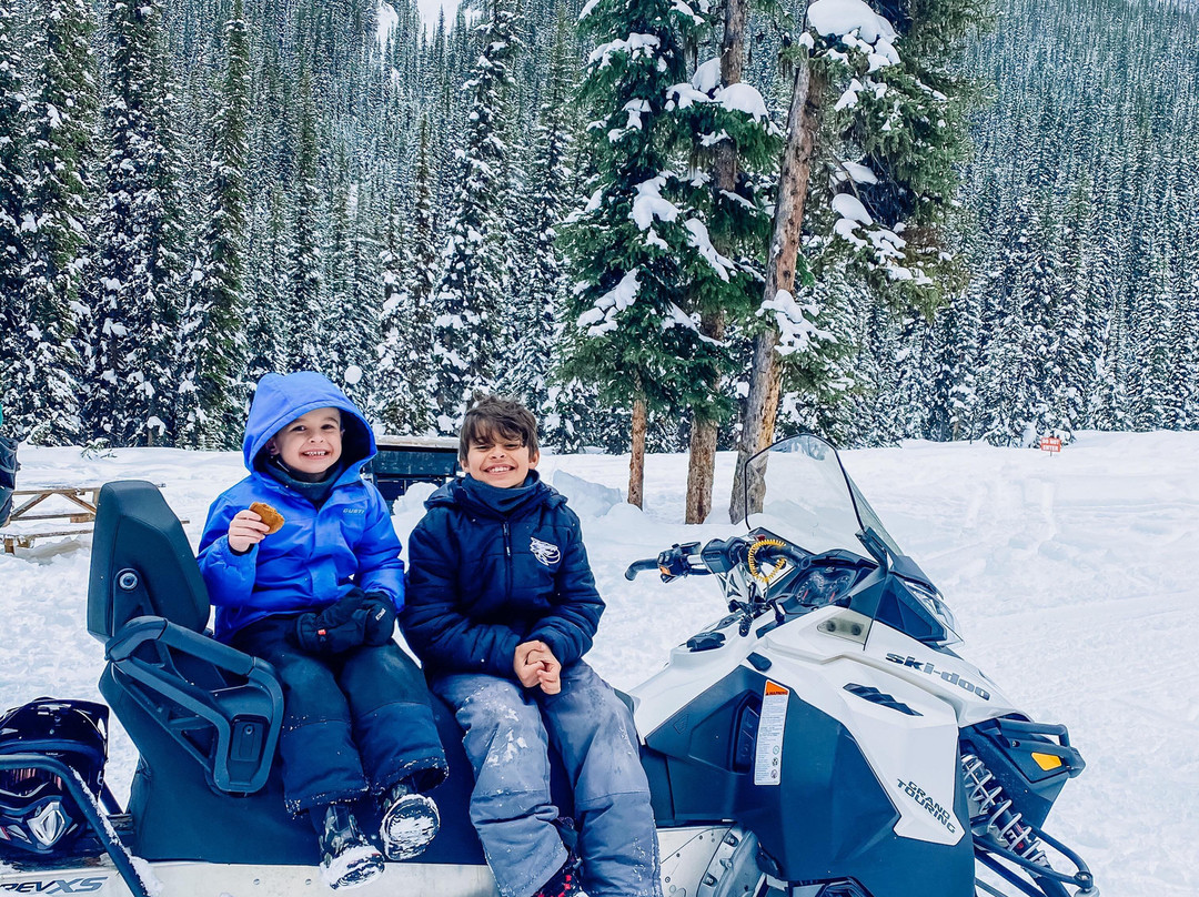 White N’ Wild Snowmobile Tours-戈尔登必去景点