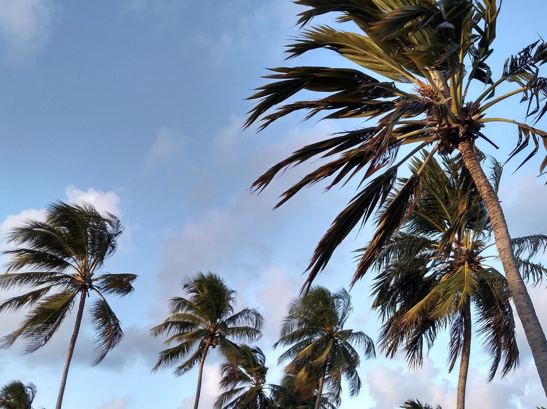 Angá Beach Hotel主图