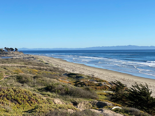 Coronado Butterfly Preserve-戈利塔必去景点