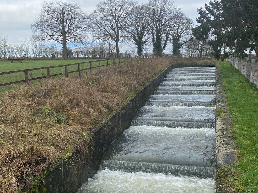 Sywell Country Park景点图片