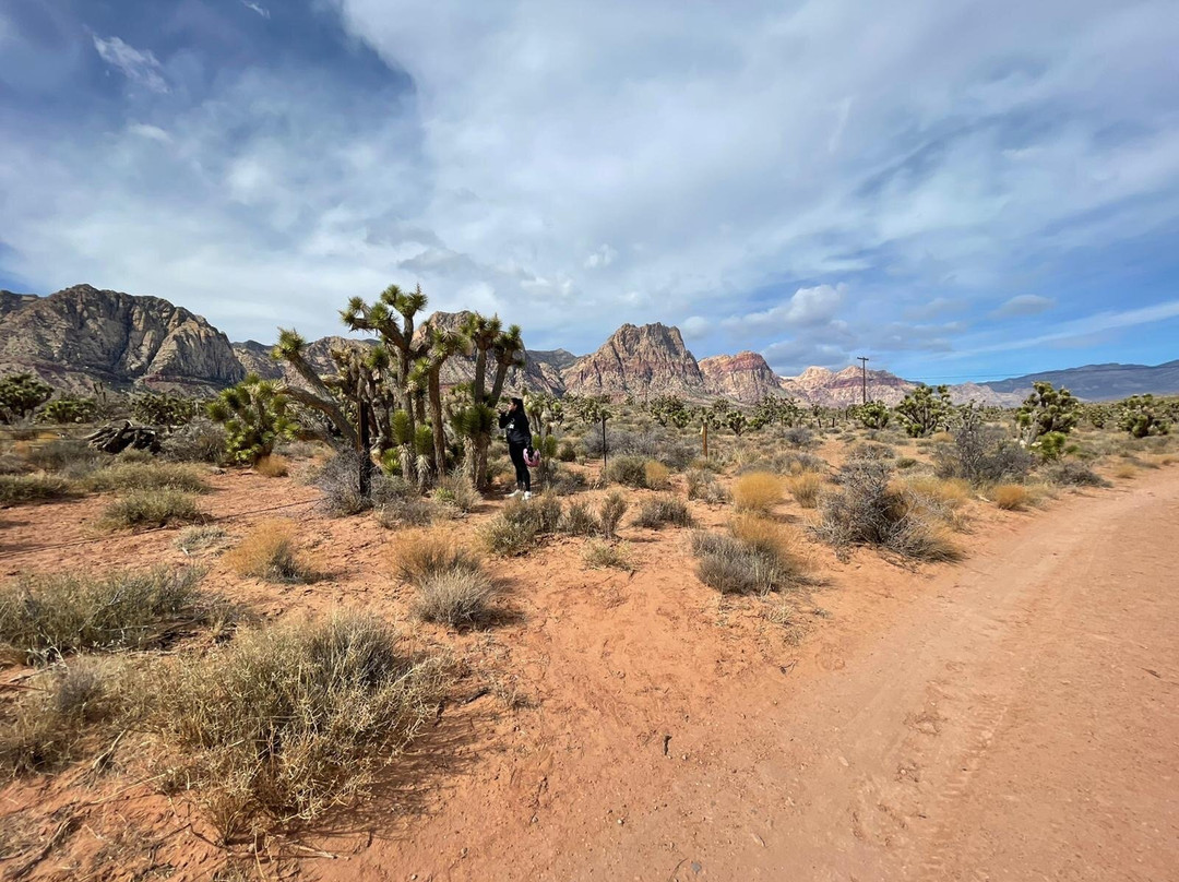 Vegas Trike Adventures-拉斯维加斯必去景点