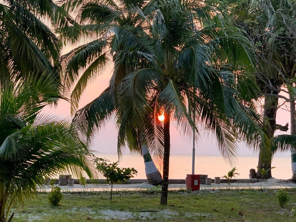 Dolphin Resort主图