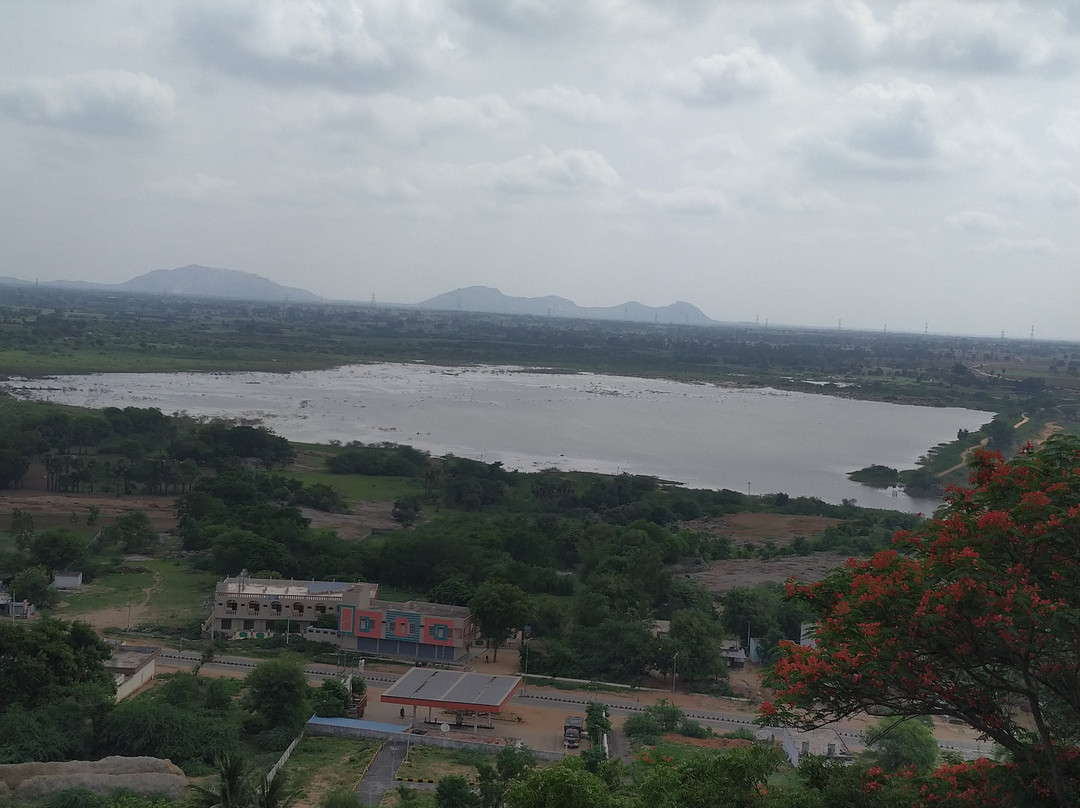 Someshwara Laxmi Narasimha Swami Temple-Agara必去景点
