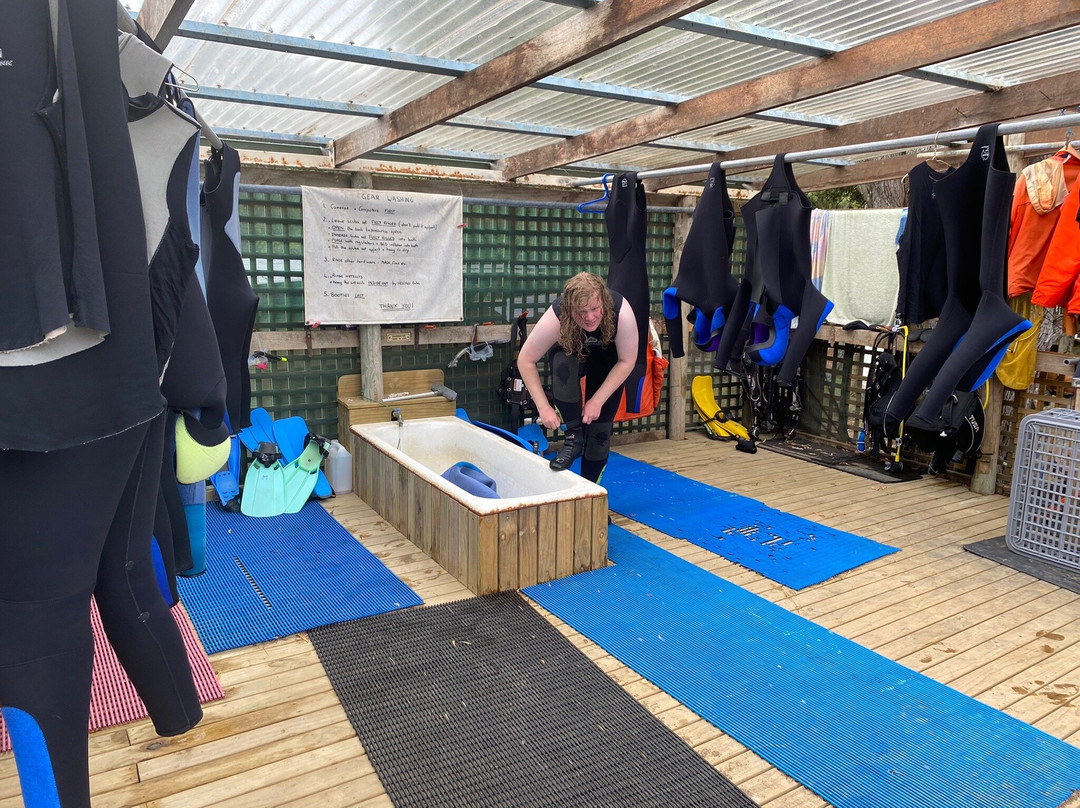 Eaglehawk Dive Centre-伊格尔霍克内克必去景点