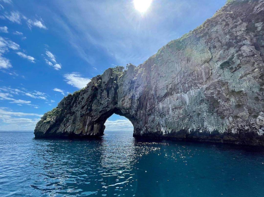 Yukon Dive-Tutukaka必去景点