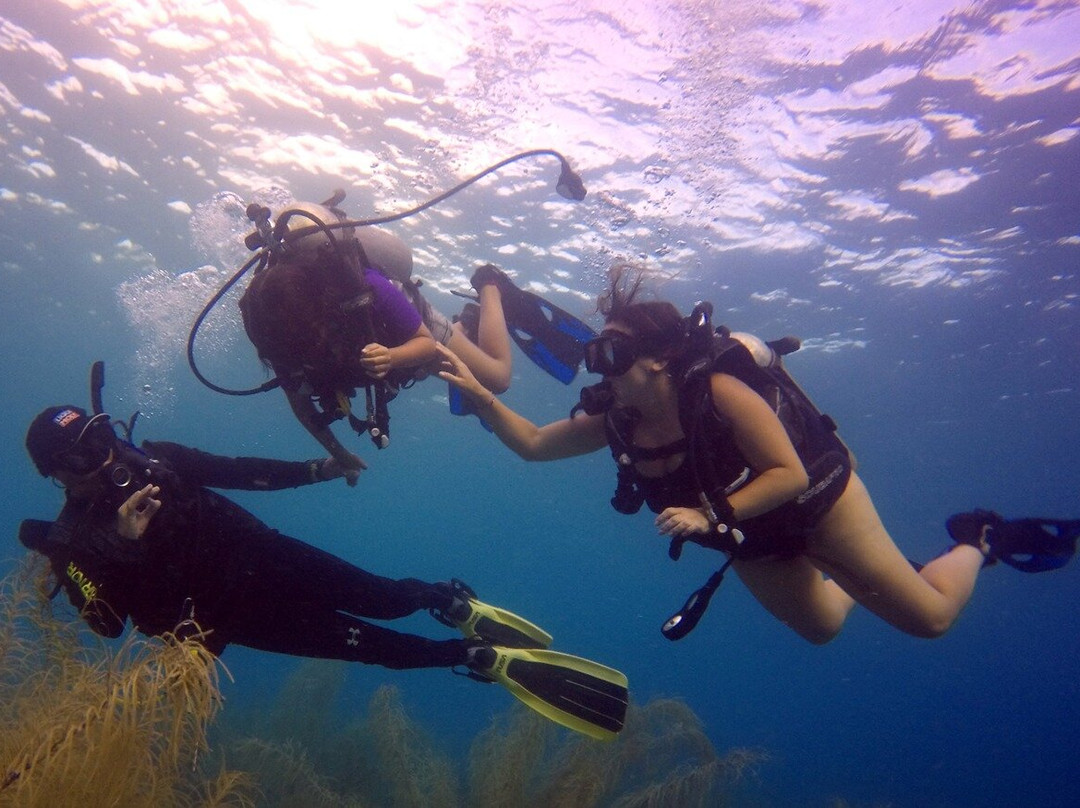 Diving Funs-圣安德烈斯岛必去景点