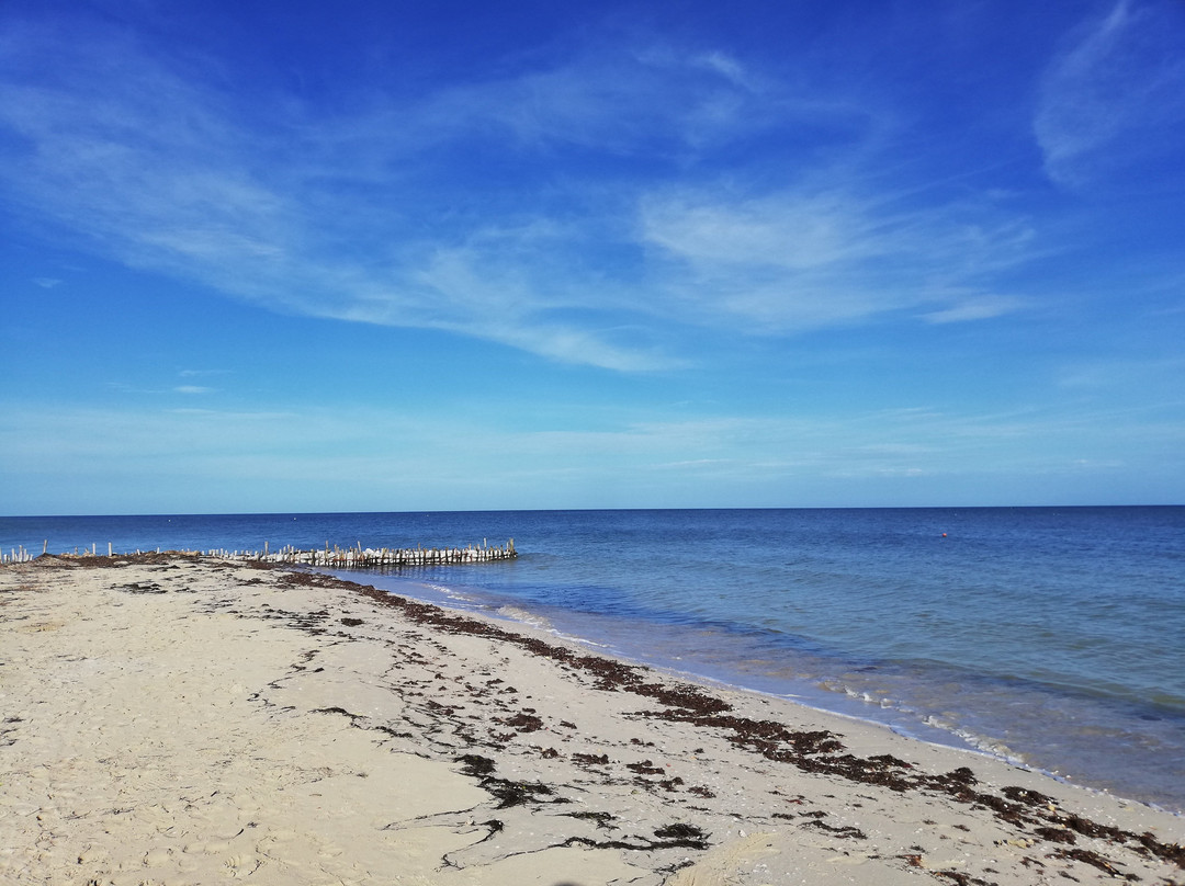 Hotel Reef Yucatán - All Inclusive & Convention Center主图