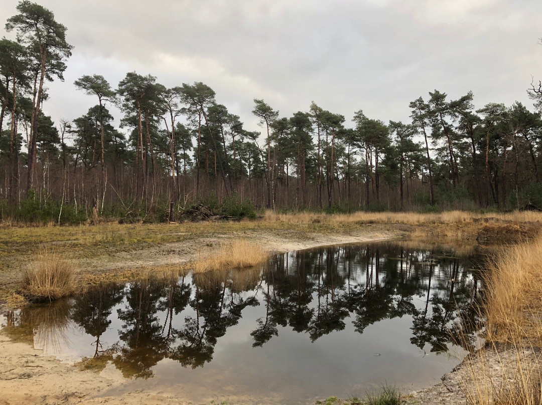 Markdal-Strijbeek必去景点