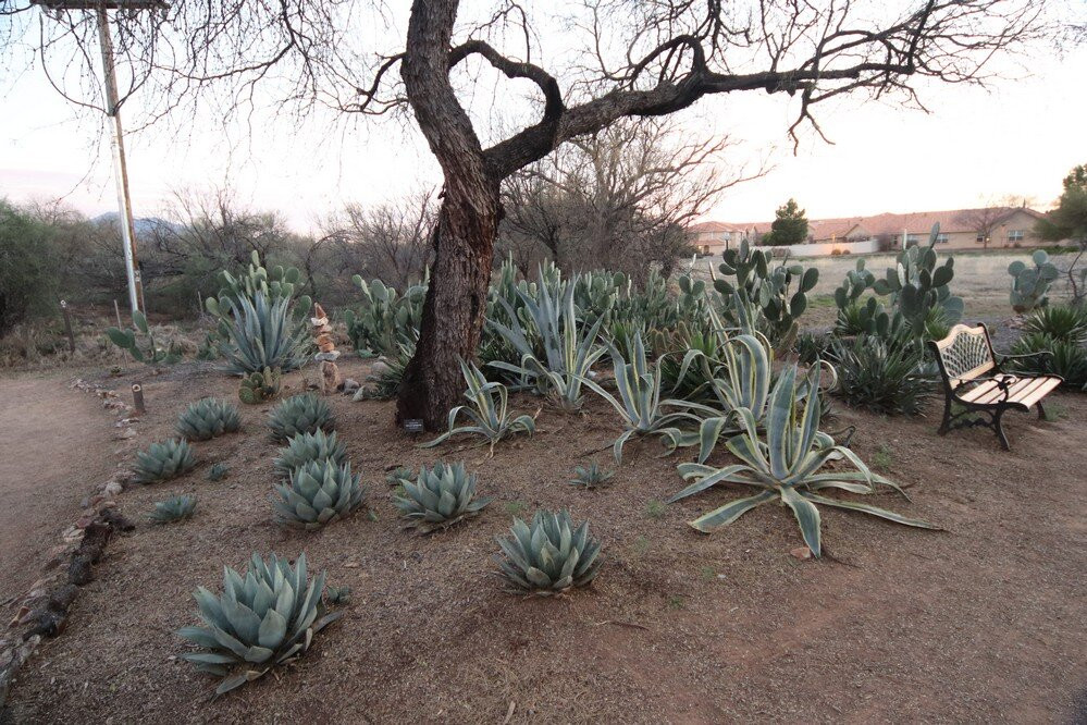 Desert Meadows Park景点图片