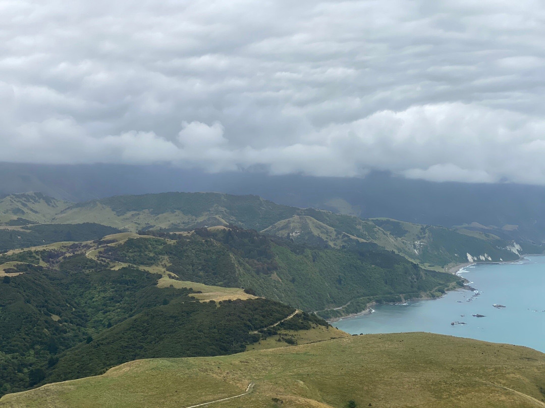 Air Kaikoura Aero Club-Kaikoura必去景点