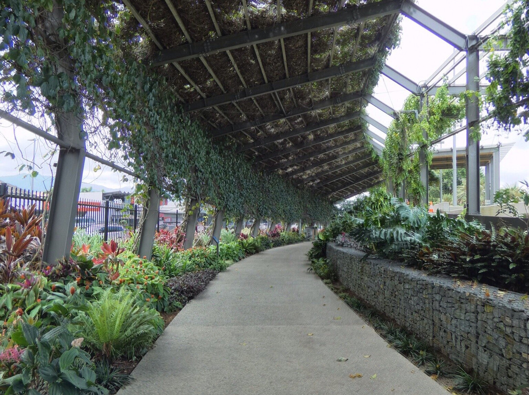 Munro Martin Parklands-凯恩斯必去景点