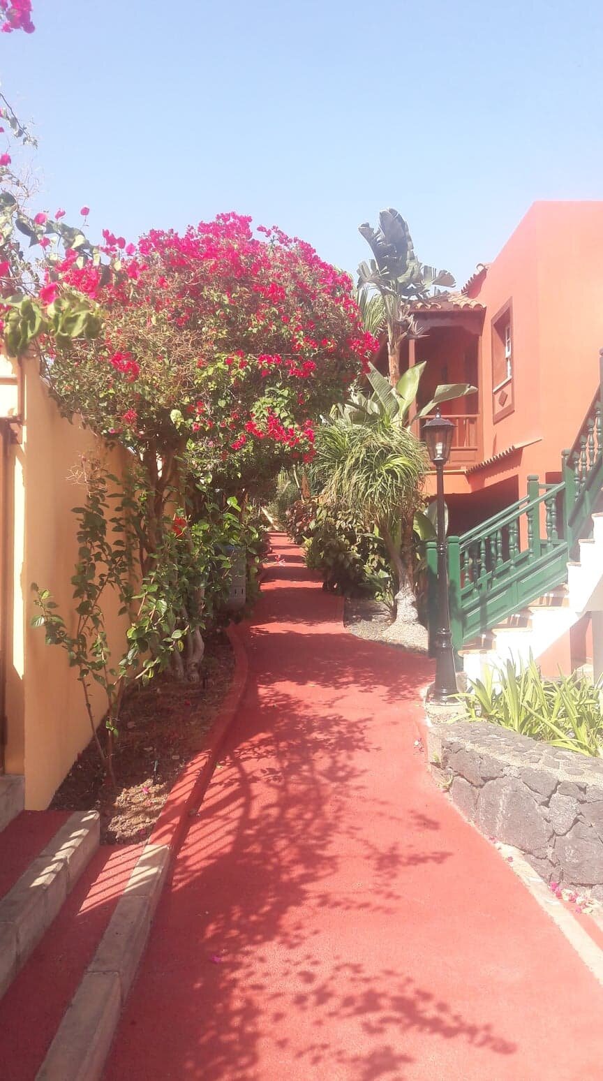 Apartamentos Oasis San Antonio-浴室