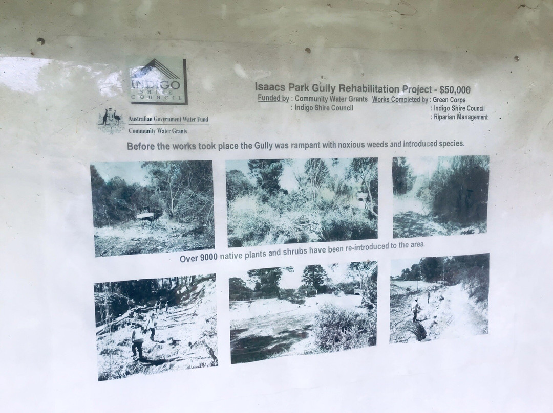 Sir Isaac Isaacs Palm Tree-Yackandandah必去景点