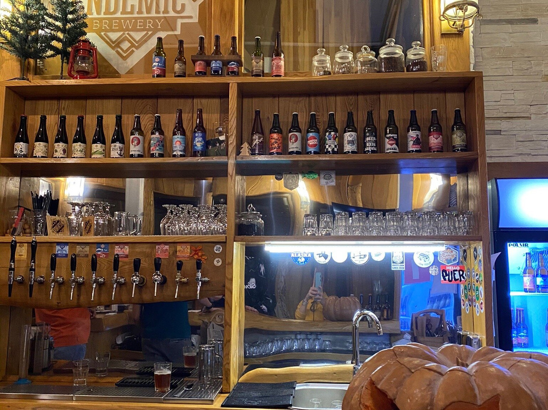 Endemic Mountain Brewery景点图片
