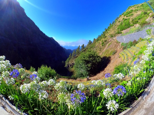 Feeling Madeira-马德拉群岛必去景点