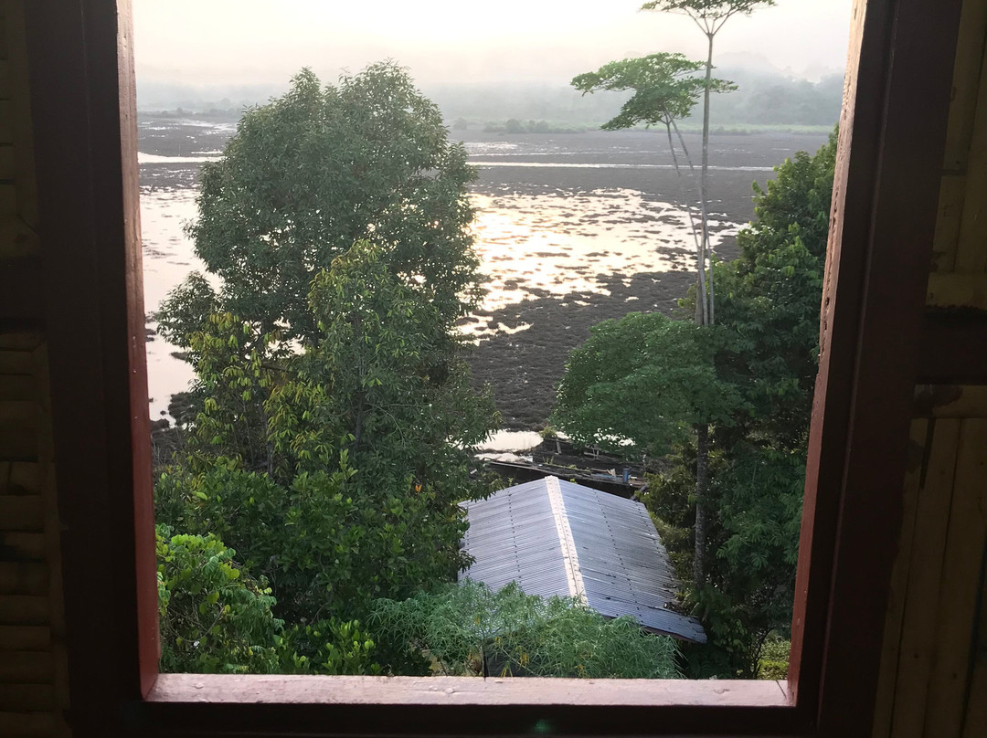 Loagan Bunut National Park-美里必去景点