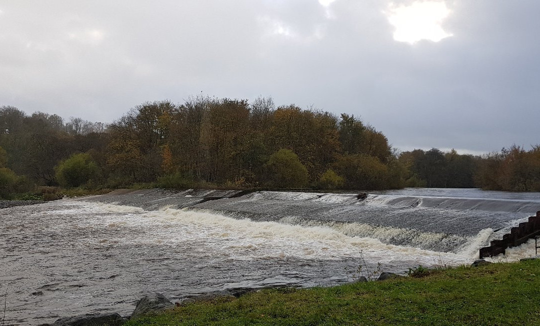 Philiphaugh Salmon Viewing Centre-Selkirk必去景点