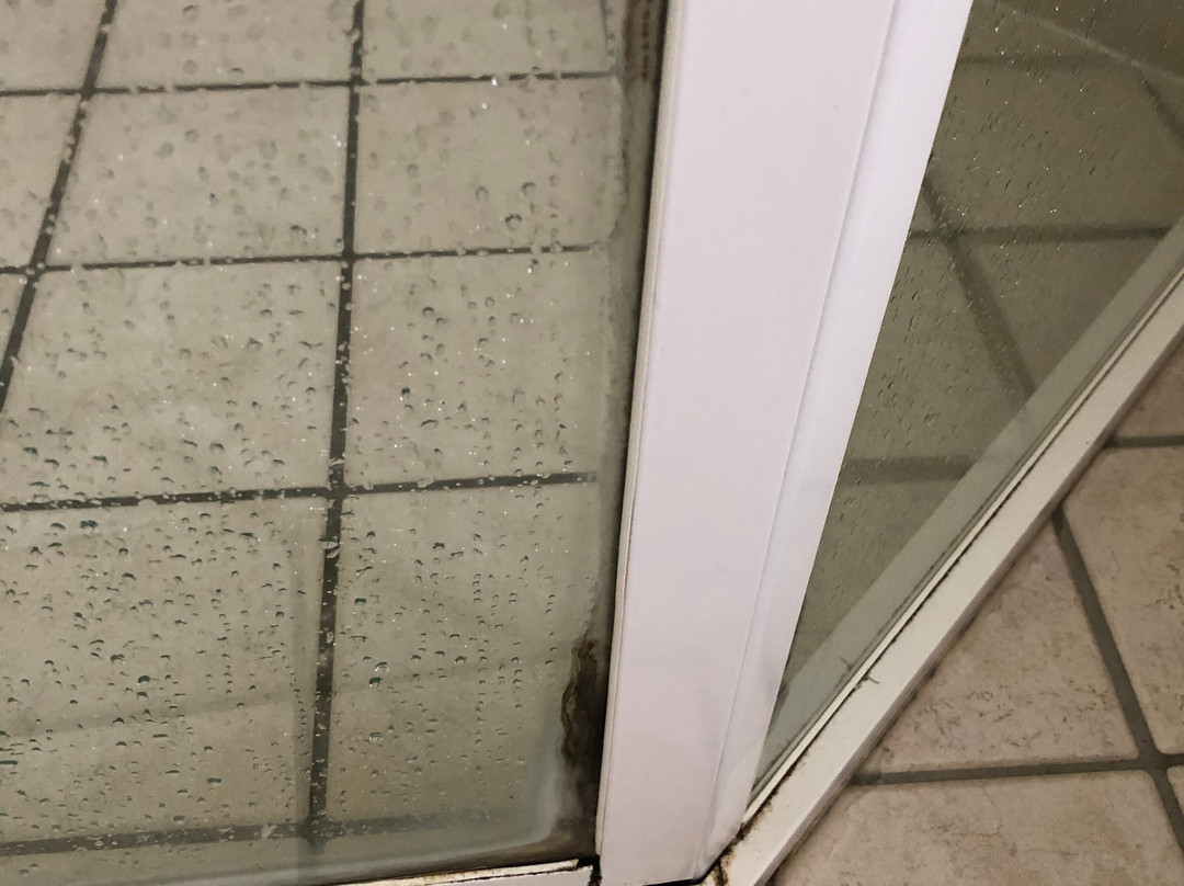 The Cove Yamba主图