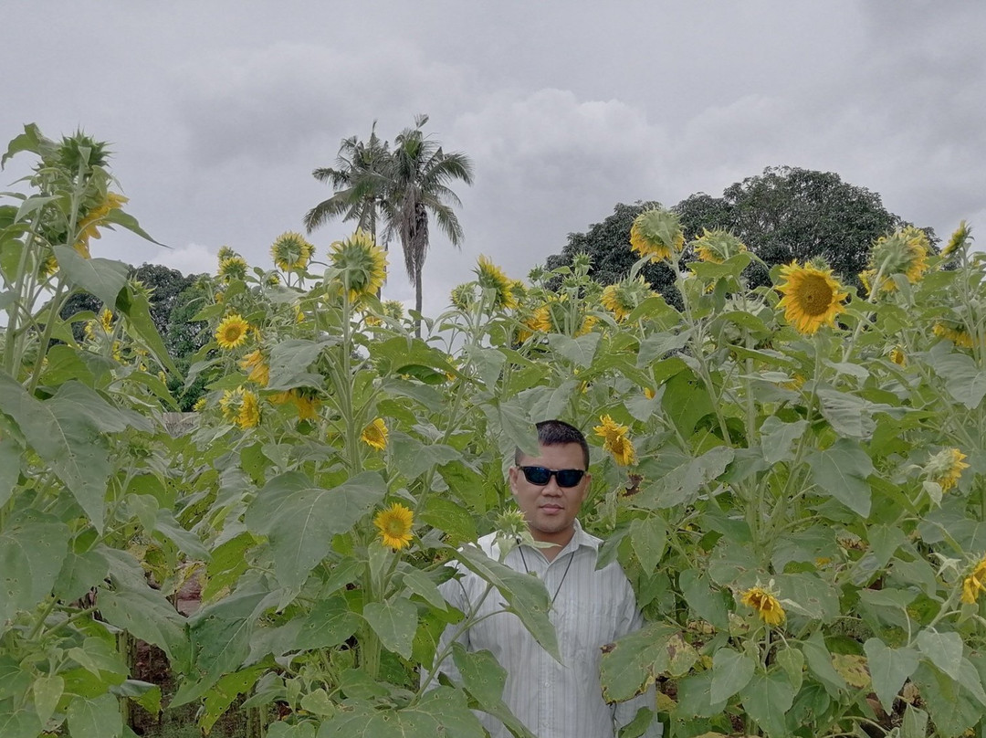Kinawe Blooming Farm-Libona必去景点