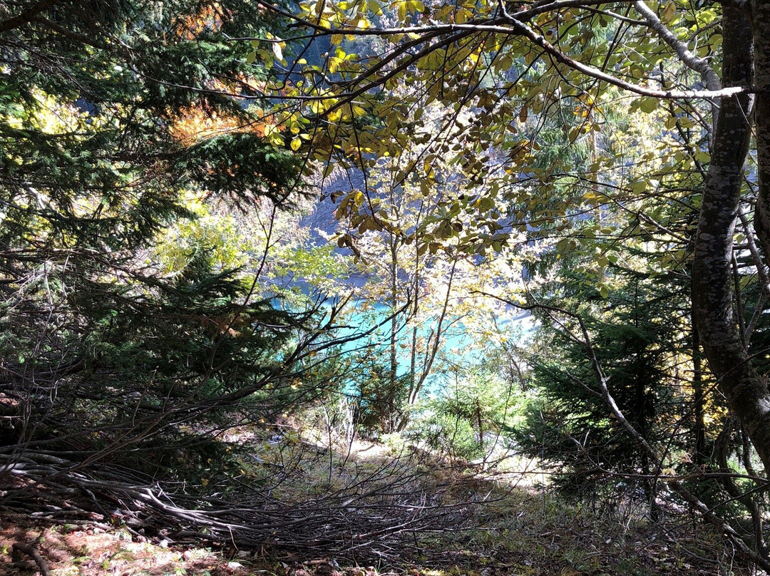 Lac de Derborence景点图片