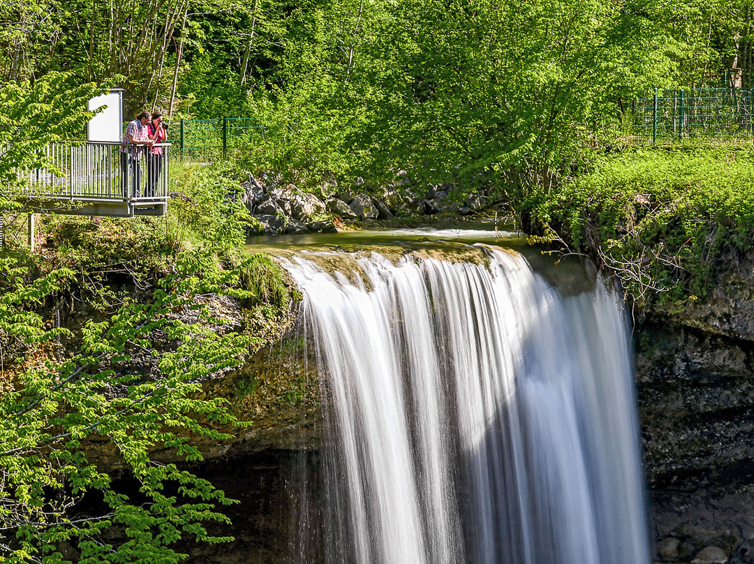Scheidegger Wasserfälle景点图片