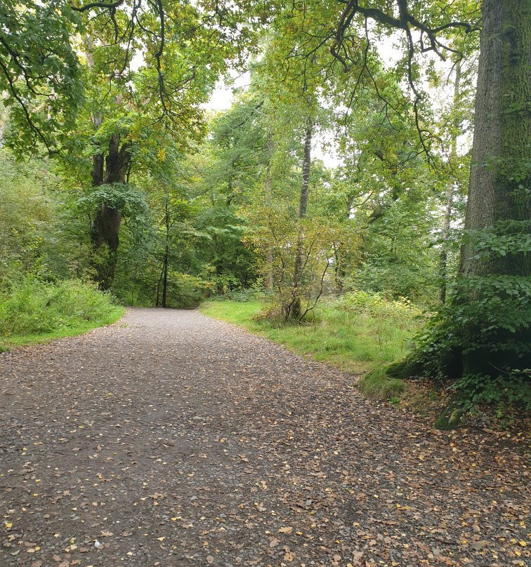 The Waterhouse Inn主图