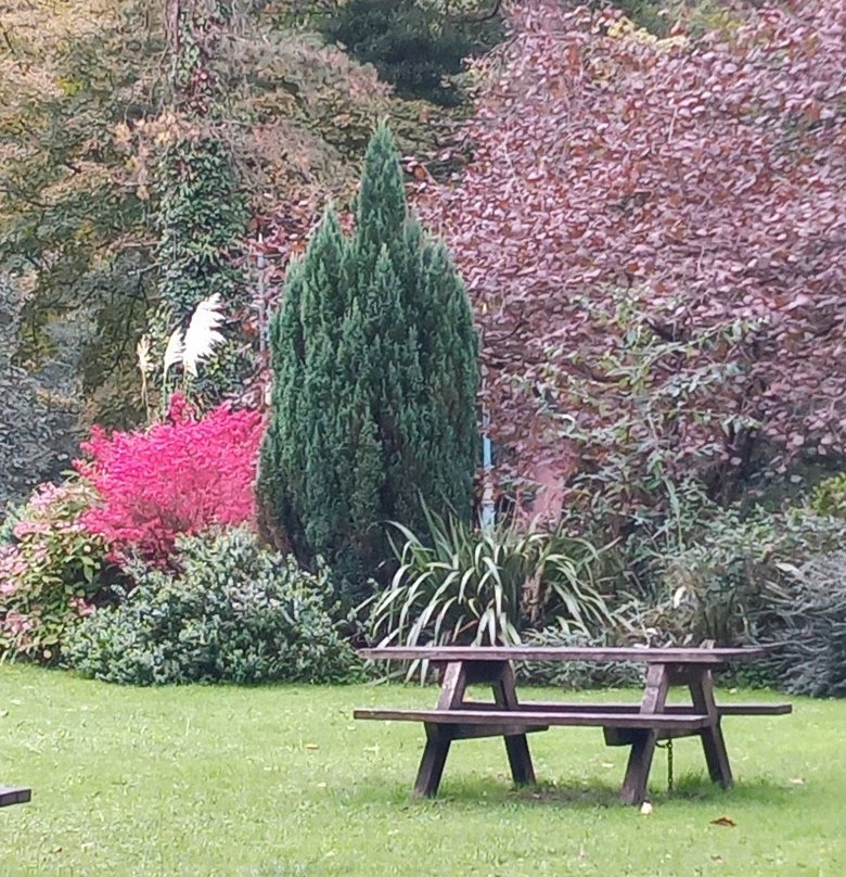 Derwent Gardens景点图片