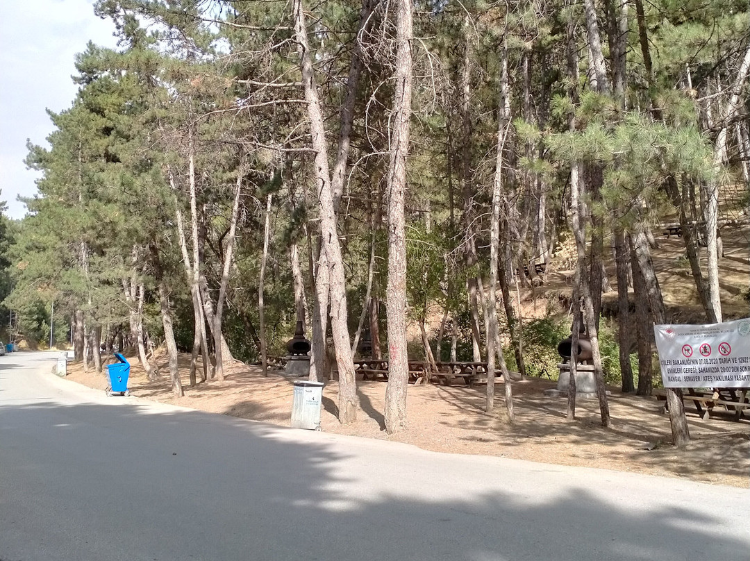 Soguksu National Park-Kizilcahamam必去景点