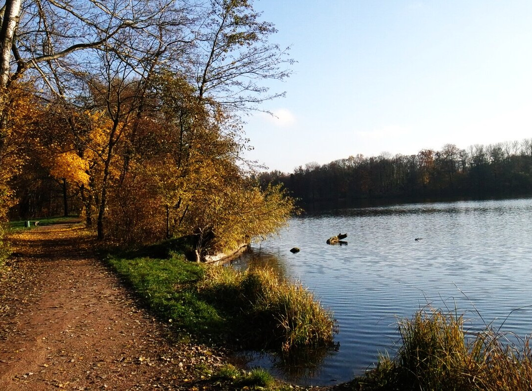 Jezioro Rusałka景点图片