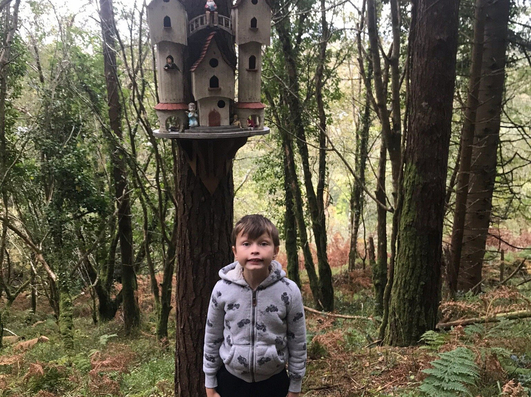 Glenbeigh Fairy Forest-Glenbeigh必去景点