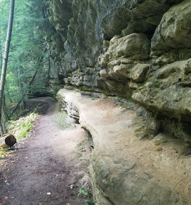 Tannery Falls-缪尼辛必去景点