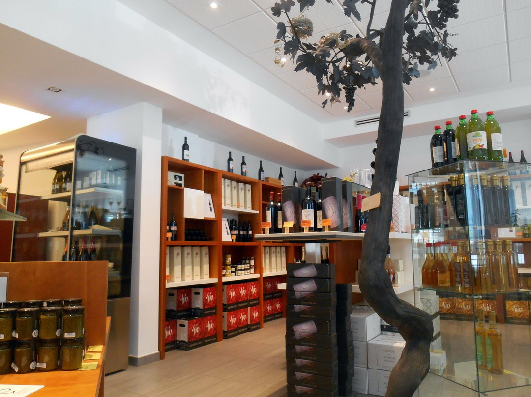 Cantina Sociale Di Avio景点图片