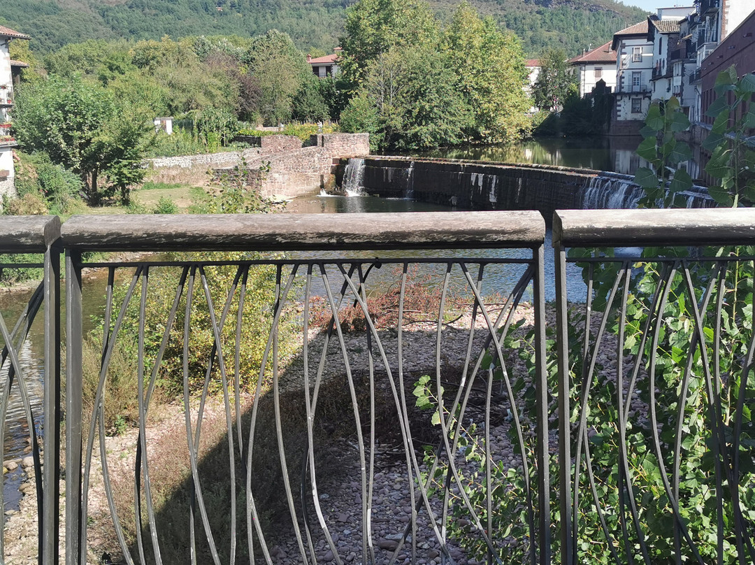 Presa y el Puente de Txokoto景点图片