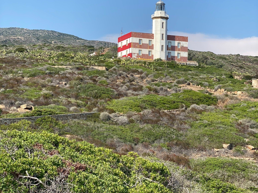 Punta del Capel Rosso-Isola del Giglio必去景点
