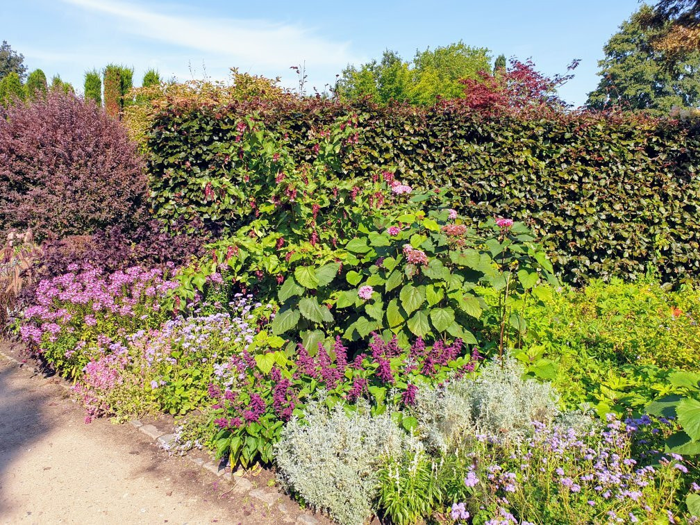 Arboretum Ellerhoop景点图片