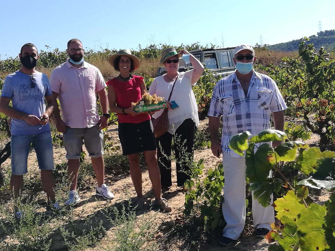 Cusco Berga-Avinyonet del Penedes必去景点