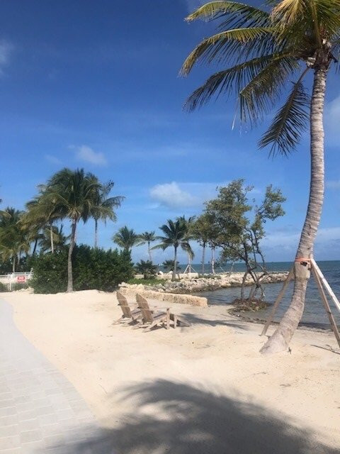 The Islands Of Islamorada主图