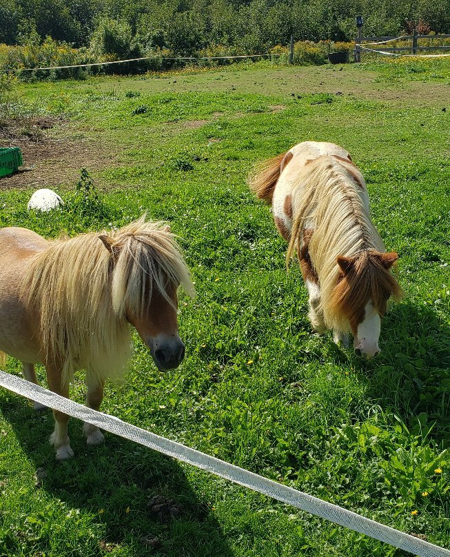 La Ferme Renaissance-Weedon必去景点