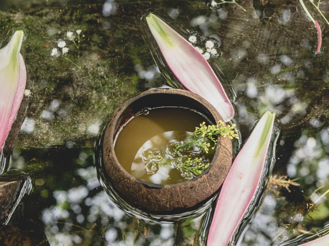 Bula Tulum Kava & Kratom