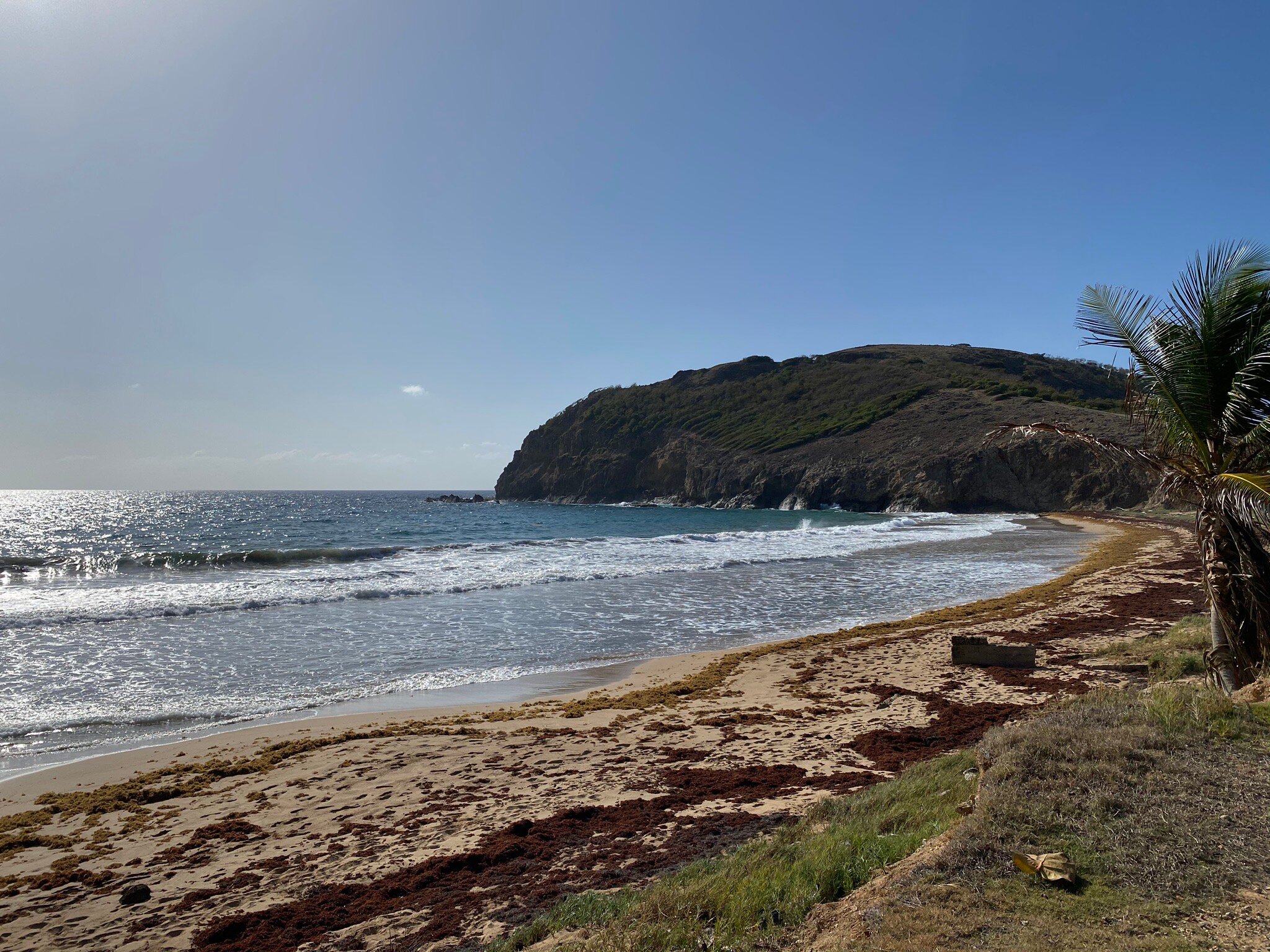 Les Petits Saints-官方