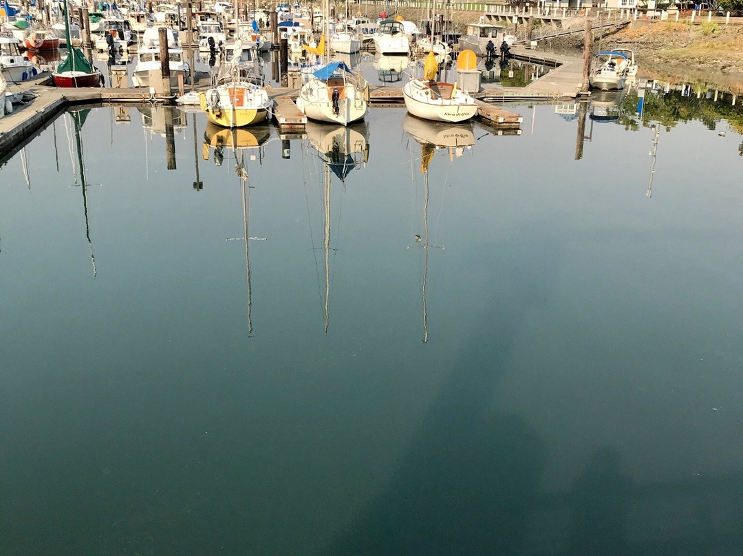 Cape Sante Marina景点图片