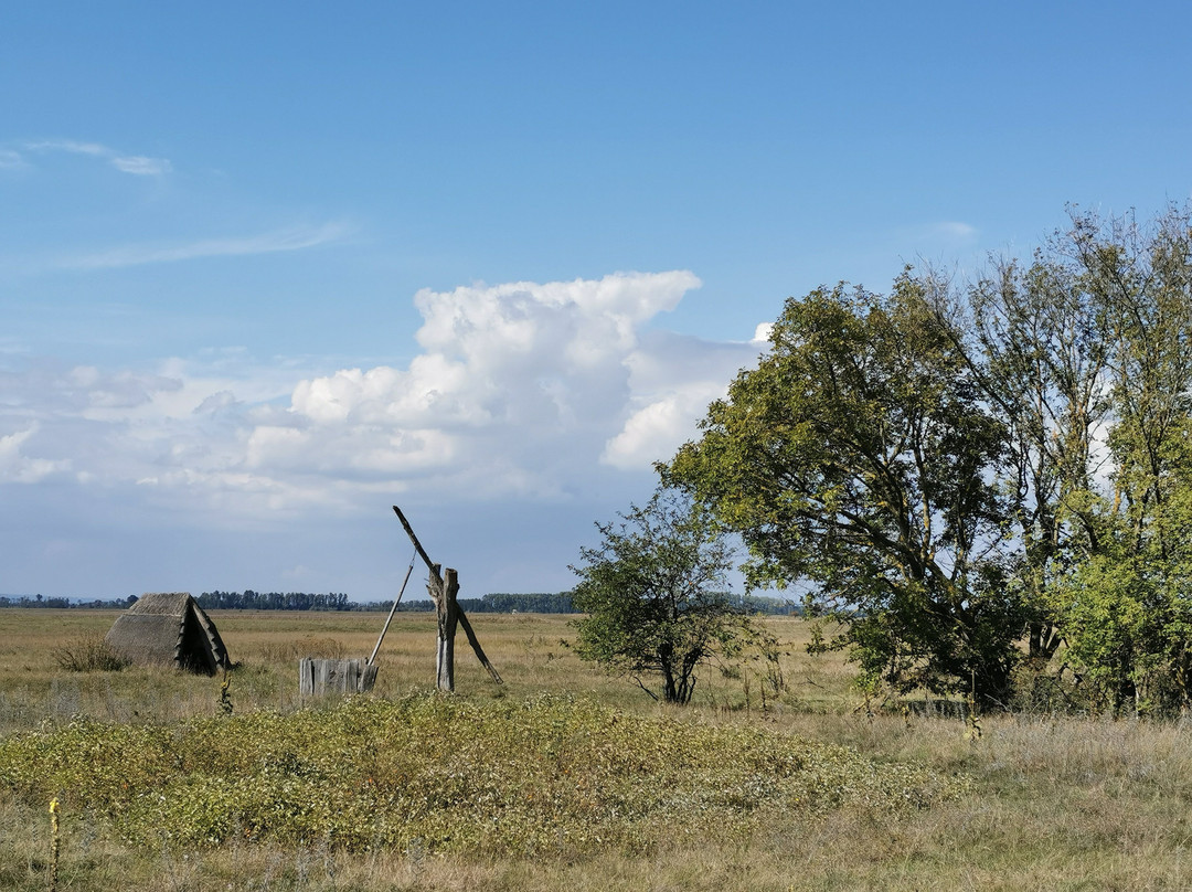 Vogelschutzgebiet Lange Lacke-Apetlon必去景点